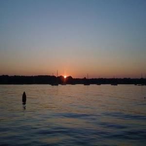 Meet your Posher, Allyson